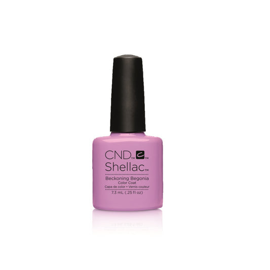 Shellac - Beckoning Begonia**