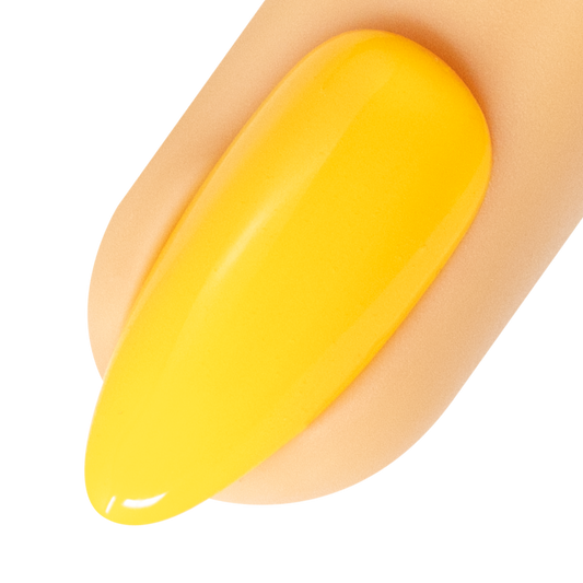 YN Striping Gel Paint - Egg Yolk- 7ml