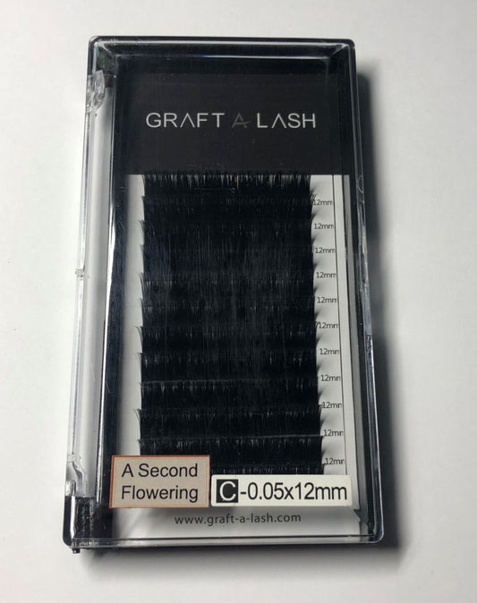 Graft a Lash Self Flowering Volume Lashes